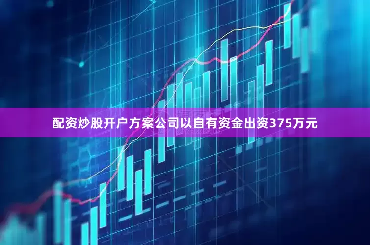 配资炒股开户方案公司以自有资金出资375万元